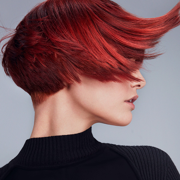 Trios Aveda | 5 Reasons Aveda's NEW Color Line Outshines The Rest